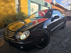 Bild des Angebotes Mercedes-Benz CLK 320 Cabrio,TOP ZUSTAND!TÜV 09-2027!