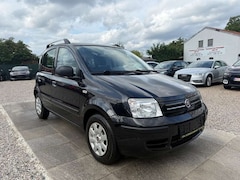 Bild des Angebotes Fiat Panda 1.2 8V Dynamic Sportsitze Sport Lenkrad