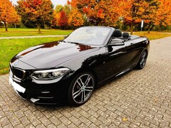 Bild des Angebotes BMW 240 2er Cabrio M240i Cabrio Aut.