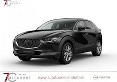 Bild des Angebotes Mazda CX-30 Exclusive 150 Automatik Navi|BOSE|360°