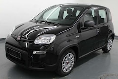 Bild des Angebotes Fiat Panda 1.0 Rückfahrsensoren+DAB+5 Sitze!