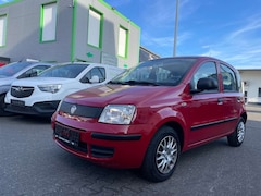 Bild des Angebotes Fiat Panda 1.2 8V*TÜV+Wartung NEU*Reifen+Zahnriem NEU