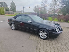 Bild des Angebotes Mercedes-Benz CLK 230 SCHNÄPPCHENPREIS, EVO, HU/AU Neu, erst 85 Tkm
