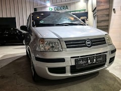 Bild des Angebotes Fiat Panda 1.2 Zahnriemen neu/Panorama