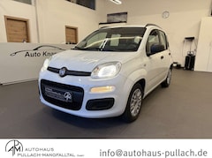 Bild des Angebotes Fiat Panda Panda My Panda 1,2 8V Klima/Dachrel./eFH.