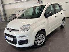 Bild des Angebotes Fiat Panda 1.0 Urban **5-Türig*Klima*PDC**