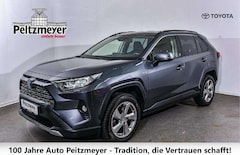 Bild des Angebotes Toyota RAV 4 Hybrid 4x2 Team Deutschland