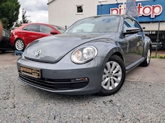 Bild des Angebotes VW Beetle Lim. Basis