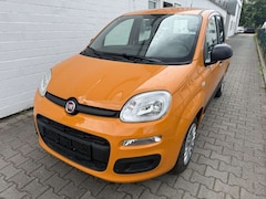 Bild des Angebotes Fiat Panda Base