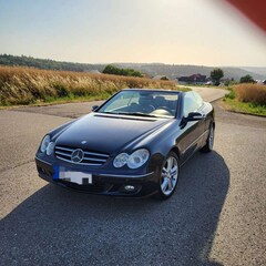 Bild des Angebotes Mercedes-Benz CLK 350 Cabrio 7G-TRONIC Avantgarde