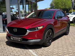 Bild des Angebotes Mazda CX-30 2.5 M Hybrid Homura