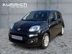 Bild des Angebotes Fiat Panda 1.2l Lounge 69PS Klimaautomatik