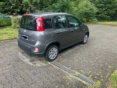 Bild des Angebotes Fiat Grande Panda Wir verkaufen unsere Fiat Panda Hybrid