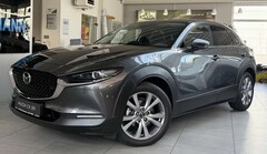 Bild des Angebotes Mazda CX-30 Selection AWD BOSE Keyless LED AHK SHZ Navi Kamer