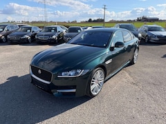 Bild des Angebotes Jaguar XF 30d 300PS R-Sport Automatik Matric Head ACC