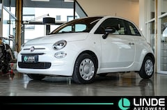 Bild des Angebotes Fiat 500 Basis | TEMPOMAT | CARPLAY |