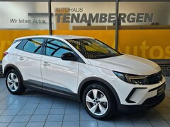 Bild des Angebotes Opel Grandland X Grandland  Plugin Hybrid AHK Navi Kamera LED