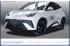 Bild des Angebotes BYD Dolphin SURF Active 8-fach bereift