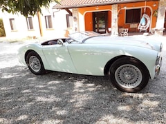 Bild des Angebotes Austin-Healey 100 BN 1 1954