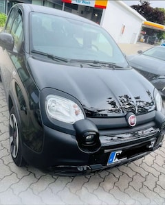 Bild des Angebotes Fiat Panda City Plus