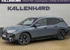 Bild des Angebotes BMW iX 50 xDrive-Sportpacke-DrivingAssProf-Head-UP