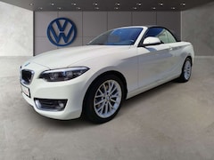 Bild des Angebotes BMW 220 2er - 220 i Advantage LED Professional
