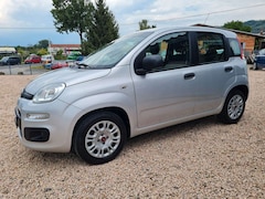 Bild des Angebotes Fiat Panda Easy