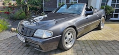 Bild des Angebotes Mercedes-Benz SL 300 300 SL-24