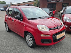 Bild des Angebotes Fiat Panda Panda/Pandina 1.2 ALLWETTERREIFEN KLIMA TÜV&AU NEU
