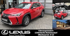 Bild des Angebotes Lexus UX 300e UX300e Komfort Plus *Allwetterreifen*