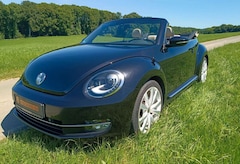 VW New Beetle 1.4 Excl.Sport,DSG,STEUERKETTE+WP NEU