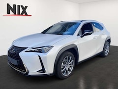 Bild des Angebotes Lexus UX 250h UX 250 h Style+ Edition KAMERA EPH