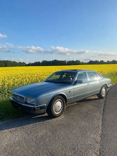 Bild des Angebotes Jaguar XJ40 Daimler