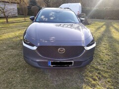 Bild des Angebotes Mazda CX-30 CX-30 SKYACTIV-X 2.0 M-Hybrid SELECTION