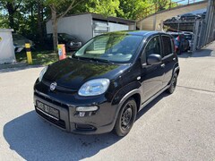 Bild des Angebotes Fiat Panda 51 kW / Klima/DAB