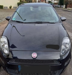 Bild des Angebotes Fiat Punto Young