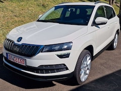 Bild des Angebotes Skoda Karoq Style,1 Hand,Klima,Kam,Temp