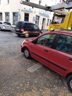 Bild des Angebotes Fiat Panda 1.2 Dynamic Sky