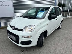 Bild des Angebotes Fiat Panda /Pandina Panda 1.2 Easy
