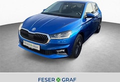 Bild des Angebotes Skoda Fabia Tour 1.0TSI TOUR*Winterpaket*ALU*SmartLink*uvm
