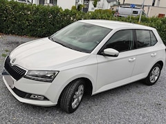 Bild des Angebotes Skoda Fabia Fabia 1.0 TSI Ambition inkl. Winterreifen