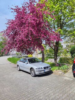 Bild des Angebotes BMW 325 325xi