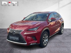 Bild des Angebotes Lexus NX 300 h Executive Line Klima Kamera Sitzhzg