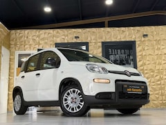 Bild des Angebotes Fiat Panda /KLIMA/4-TÜRER/DAB/ALLWETTER/1-HAND
