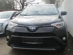Toyota RAV 4 RAV4 Hybrid 2.5 4x4 Hybrid Team Deutschland