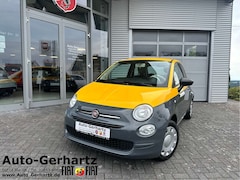 Bild des Angebotes Fiat 500 Pop Star Klimaanlage/Tempomat/elektr. Fensterheber
