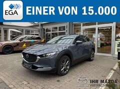 Bild des Angebotes Mazda CX-30 Takumi Allrad - Leder, Matrix LED, Bose, Schiebeda