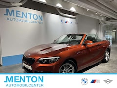 Bild des Angebotes BMW 218 i  SportLine/RFK/Navi/DAB