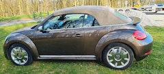 Bild des Angebotes VW Beetle The Beetle Cabriolet The Cabriolet 1.4 TSI DSG Exc