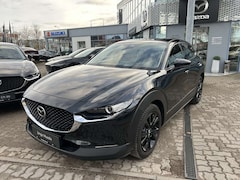 Bild des Angebotes Mazda CX-30 2.5L e-SKYACTIV G 140ps 6AT FWD Homura